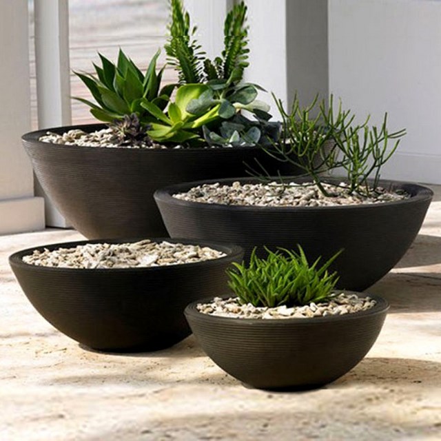 星空体育app下载