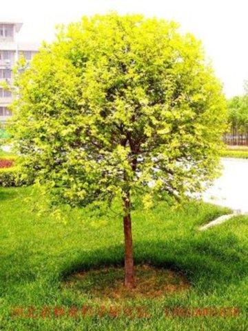 【星空体育APP】希丁克97国奥又喜获一员猛将 留洋妖星表现不俗未来可挑大梁(图2) 星空体育APP