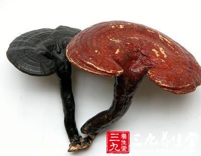 星空体育app下载