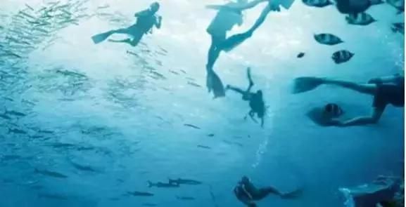 星空体育app下载-独具一格的画风 美得让人陶醉 浏览一大波玉人素描头像(图1) 星空体育app下载