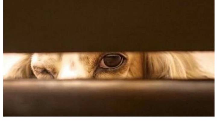 星空体育APP网站