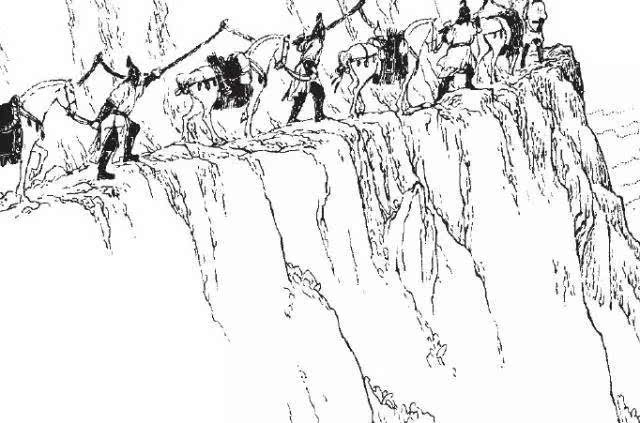 星空体育APP网站