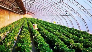 星空体育app下载