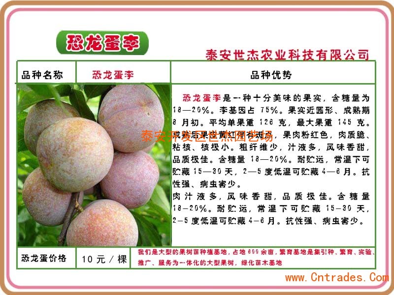 意甲-哲科2球 佩罗蒂2传1射 罗马3-2胜距尤文4分:星空体育APP(图1) 星空体育APP