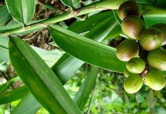 原创2-0!国米获胜!孔蒂再现神换人,9000万巨星破门“星空体育app下载”(图3) 星空体育app下载