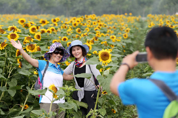 星空体育APP网站