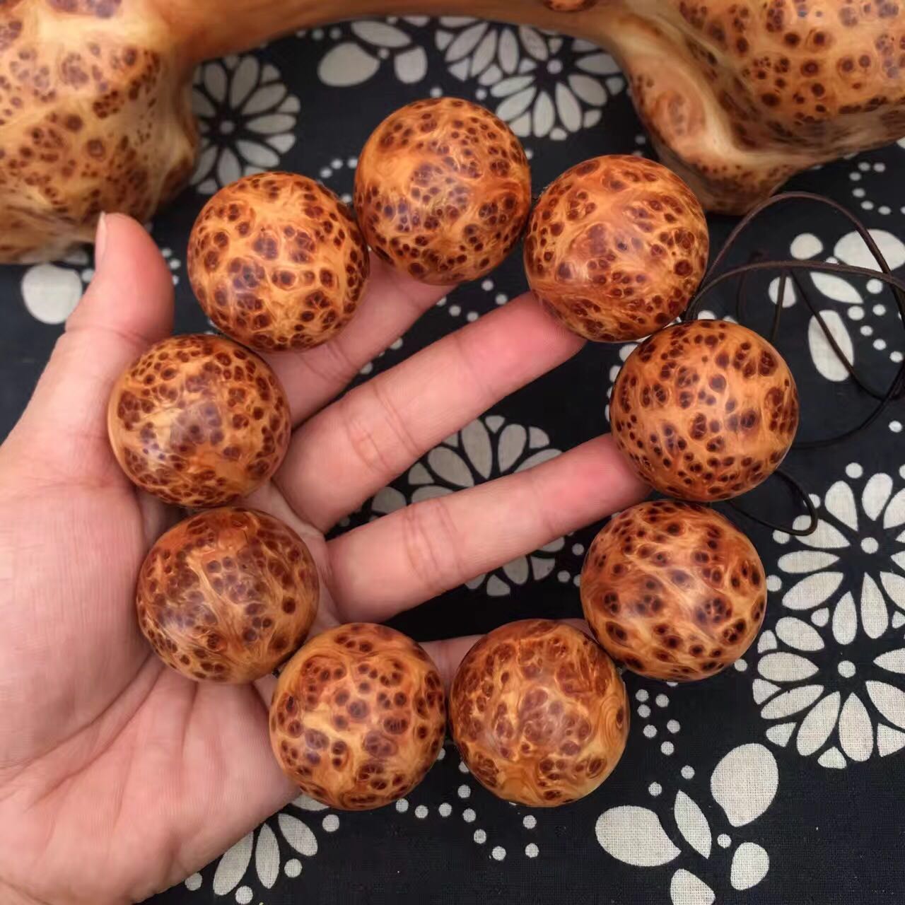 星空体育app下载