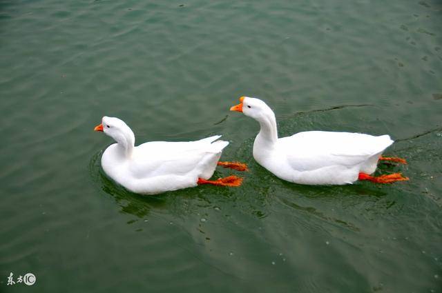 星空体育APP网站