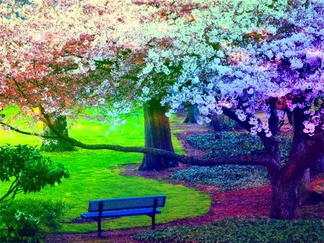 星空体育app下载