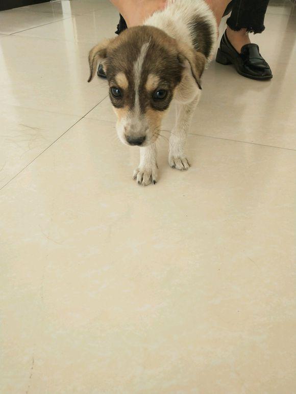 星空体育APP|美漫四图流!利物浦官方秀画技回顾欧冠决赛路(图1) 星空体育APP