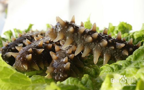 记者:曼联已经和伊哈洛达成协议,正寻求说服申花放人|星空体育APP网站(图3) 星空体育app下载