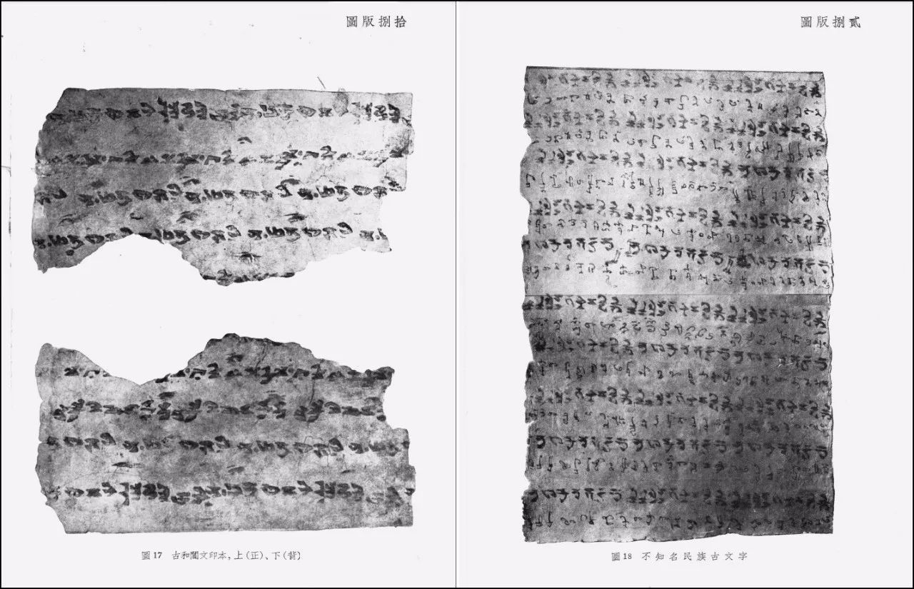 星空体育app下载