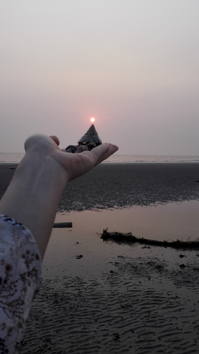 星空体育APP网站