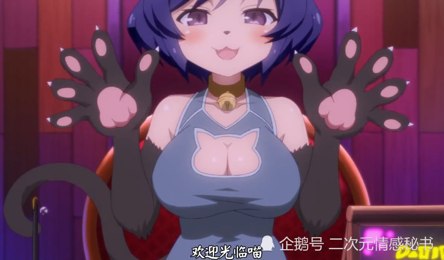 星空体育APP网站