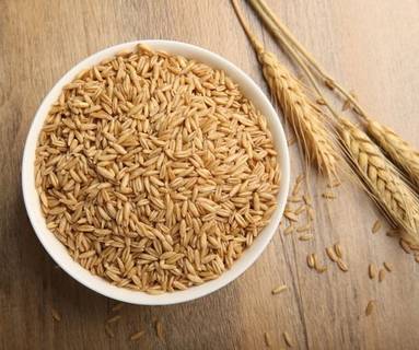 原创国足附体!大连1.7亿外援停球5米远,远射离谱+防守漏人致丢球【星空体育APP网站】(图2) 星空体育APP