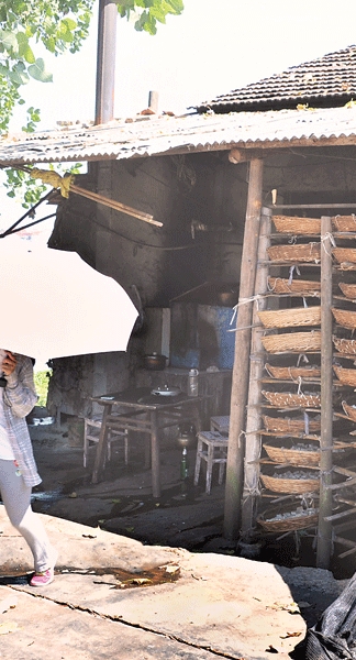 ‘星空体育APP网站’“乔丹杯”2020厦门篮球联赛球员名单发布(图29) 星空体育APP