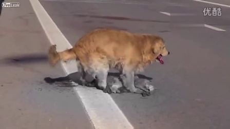 星空体育app下载