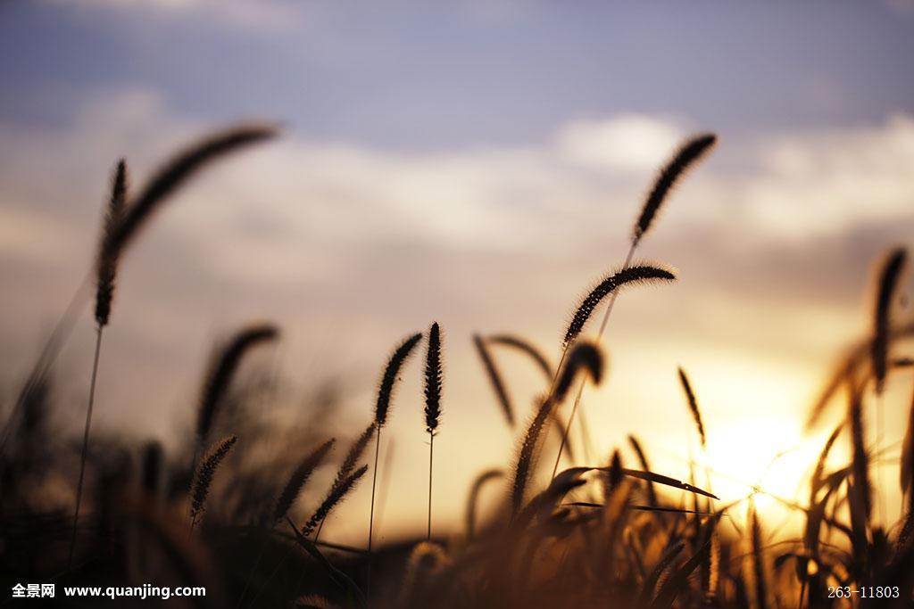 星空体育APP网站