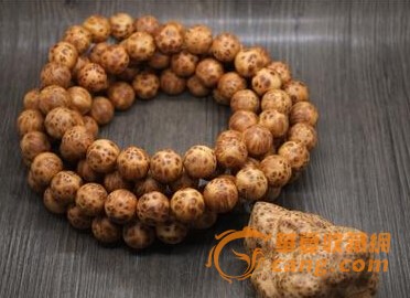 星空体育app下载