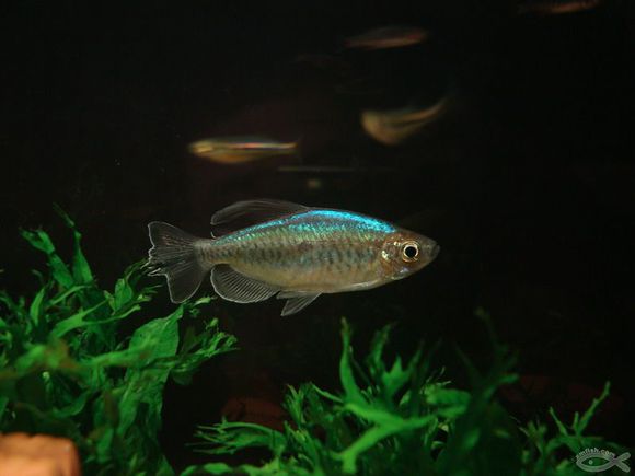 星空体育APP网站