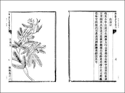 星空体育APP网站