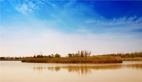 星空体育APP网站