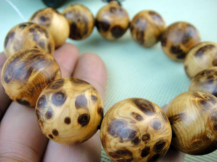 星空体育APP网站