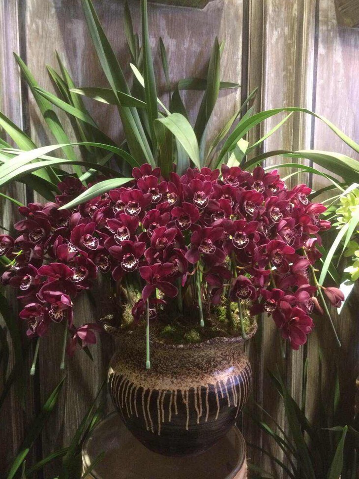 星空体育APP网站