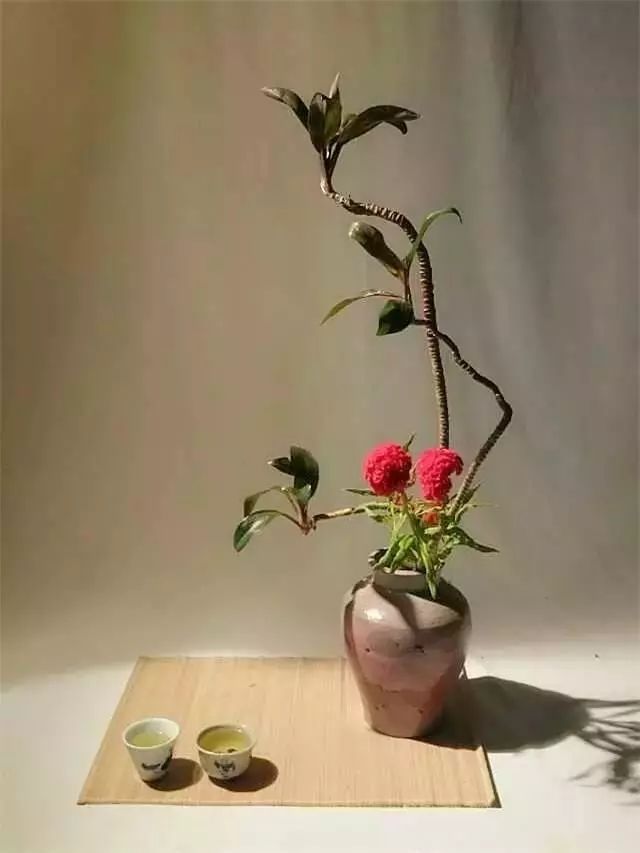 星空体育app下载