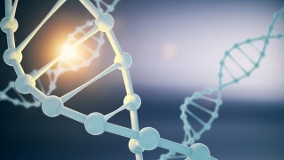 星空体育app下载