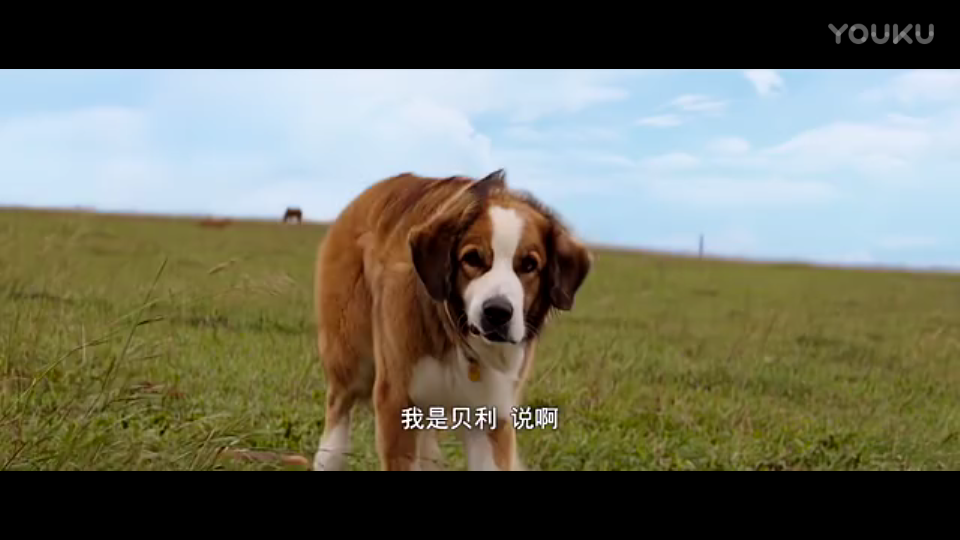 星空体育APP网站