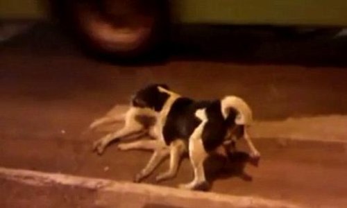 星空体育app下载