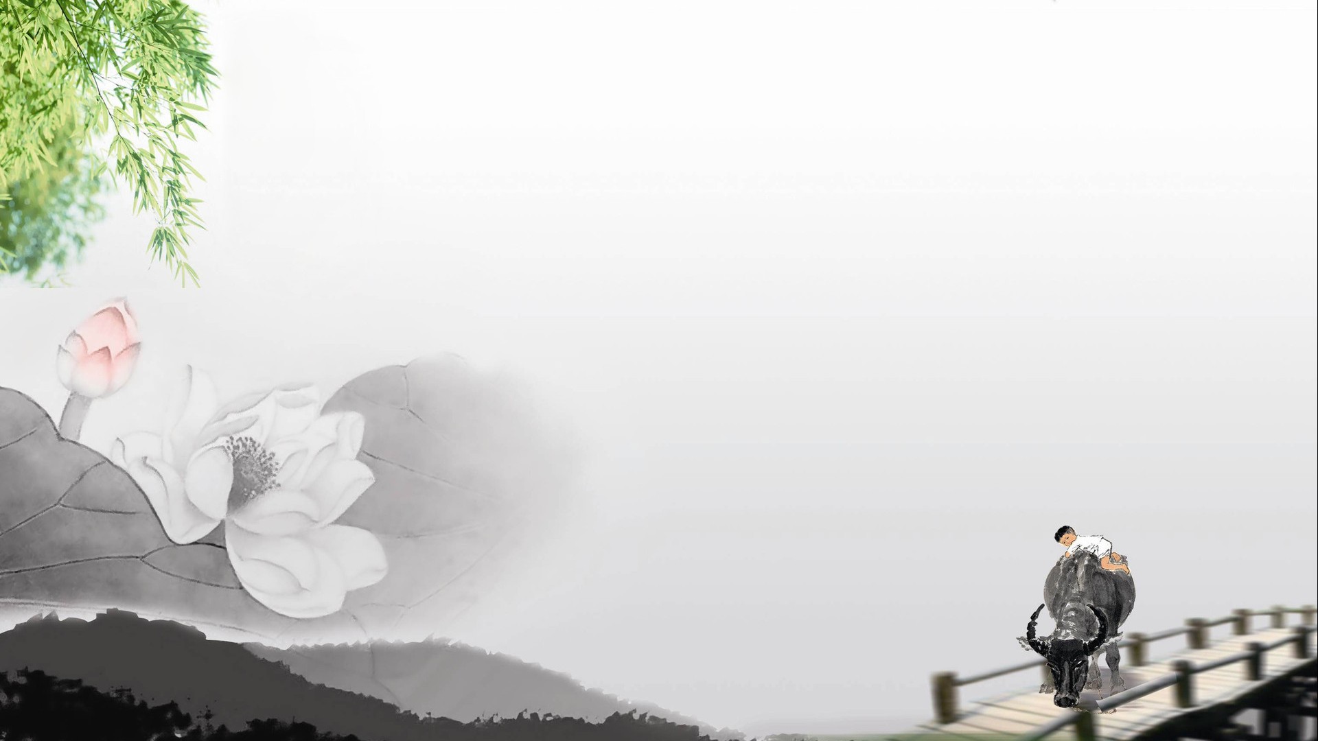 星空体育APP网站