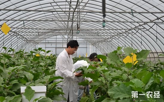 星空体育app下载