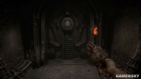 星空体育APP网站