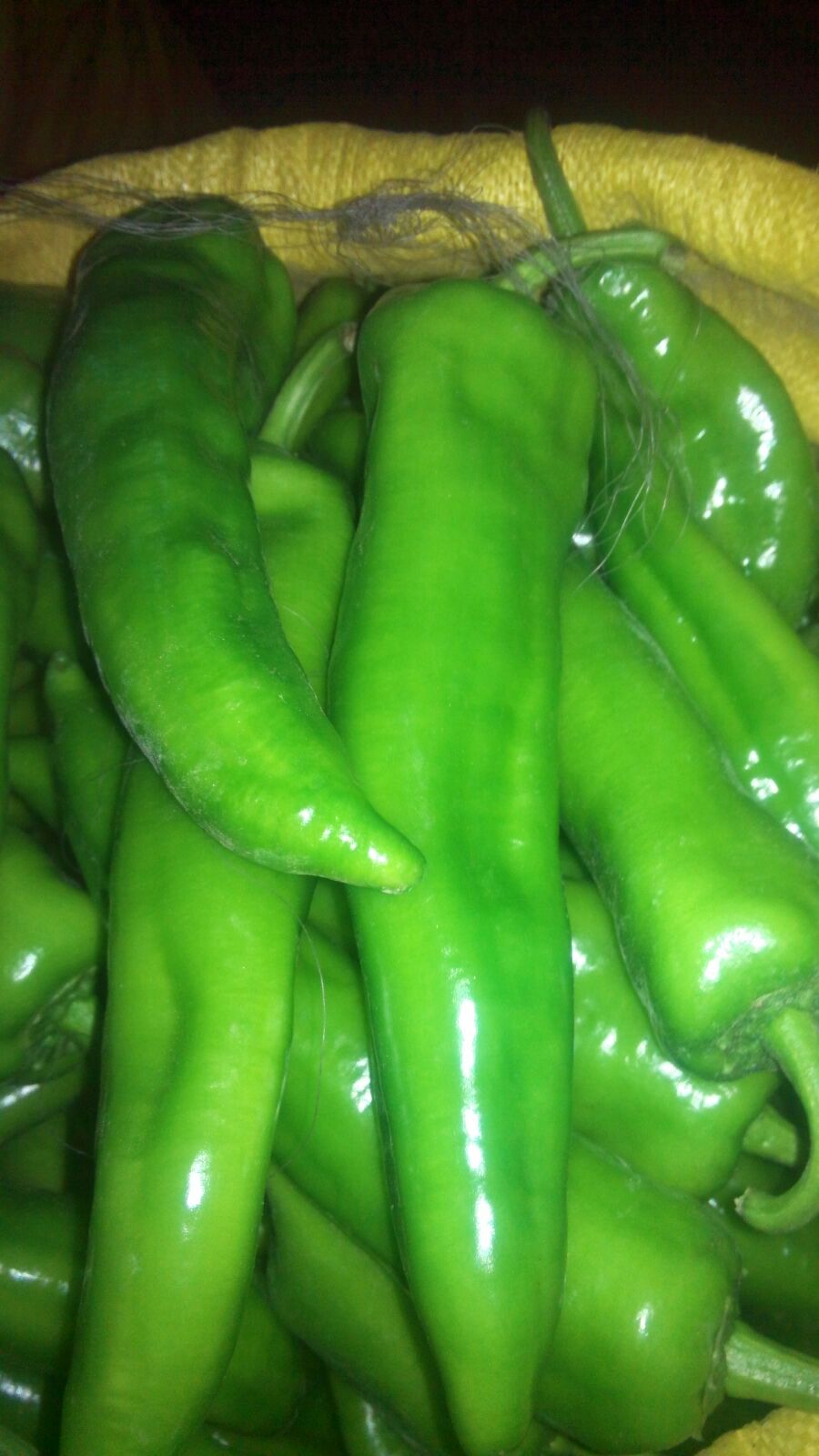 星空体育APP网站