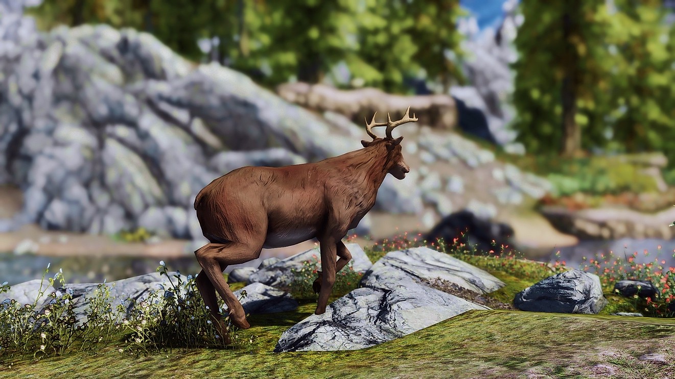 星空体育app下载