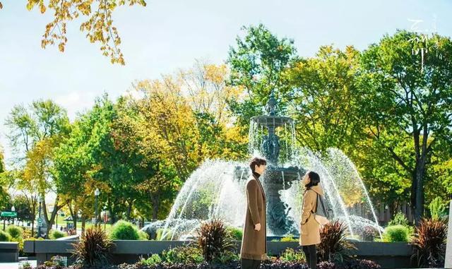 星空体育APP网站