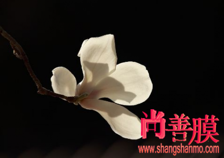 星空体育APP网站