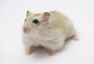 星空体育APP网站