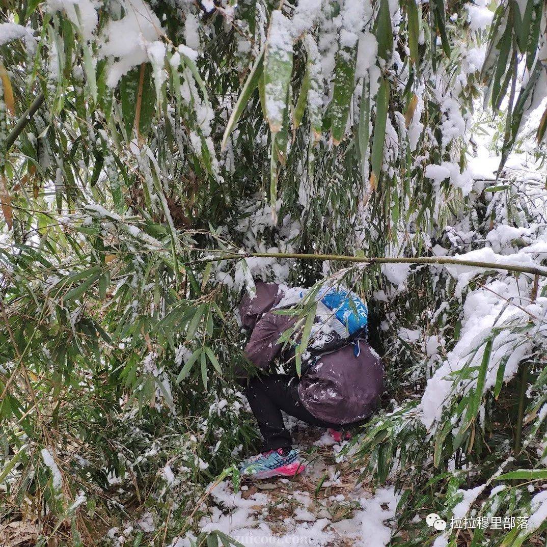 星空体育app下载