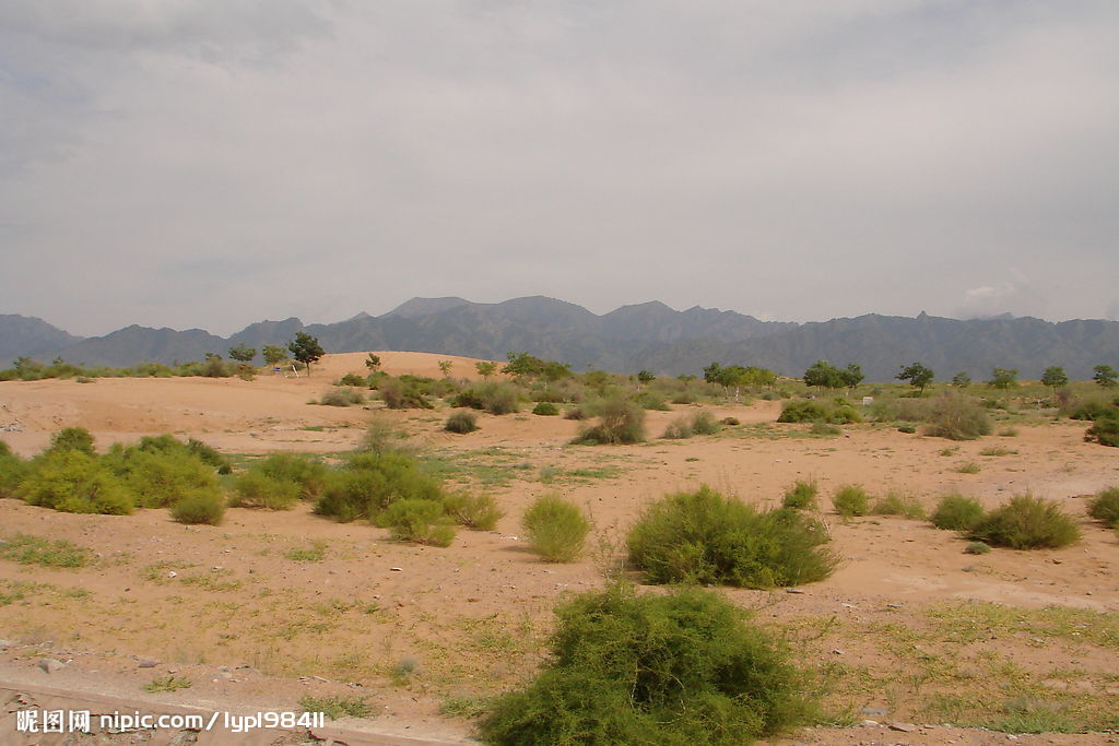 星空体育APP网站