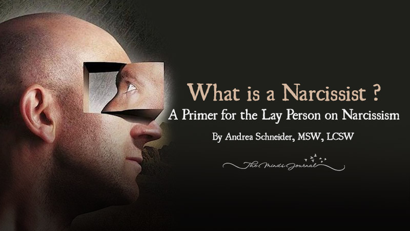 星空体育APP网站