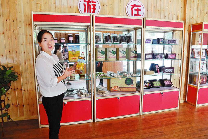 星空体育APP网站