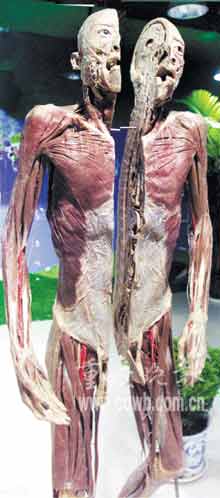 星空体育APP网站