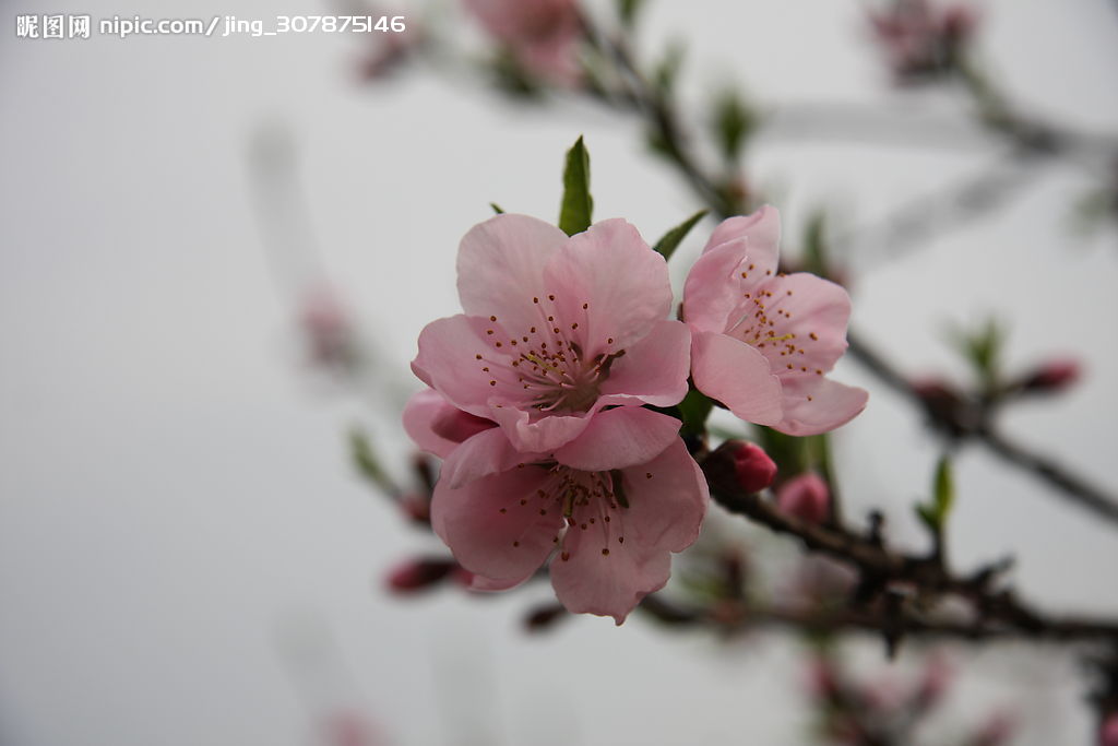 星空体育app下载