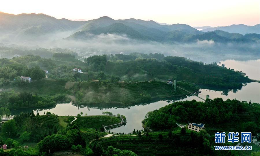 星空体育APP网站