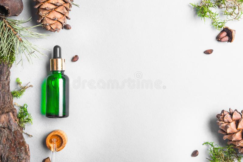 星空体育APP网站