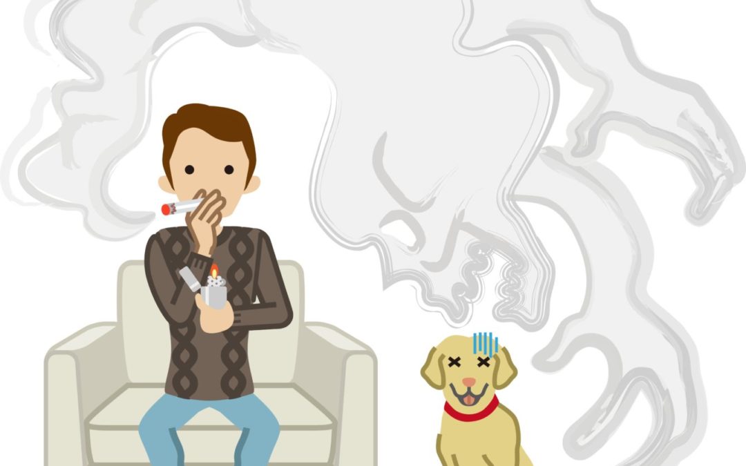 星空体育APP网站