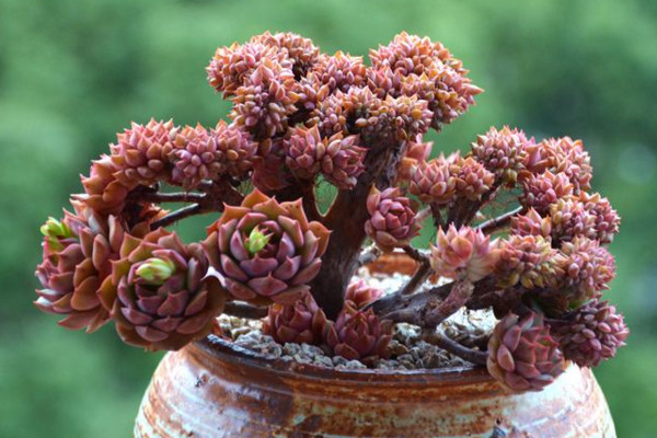 星空体育app下载